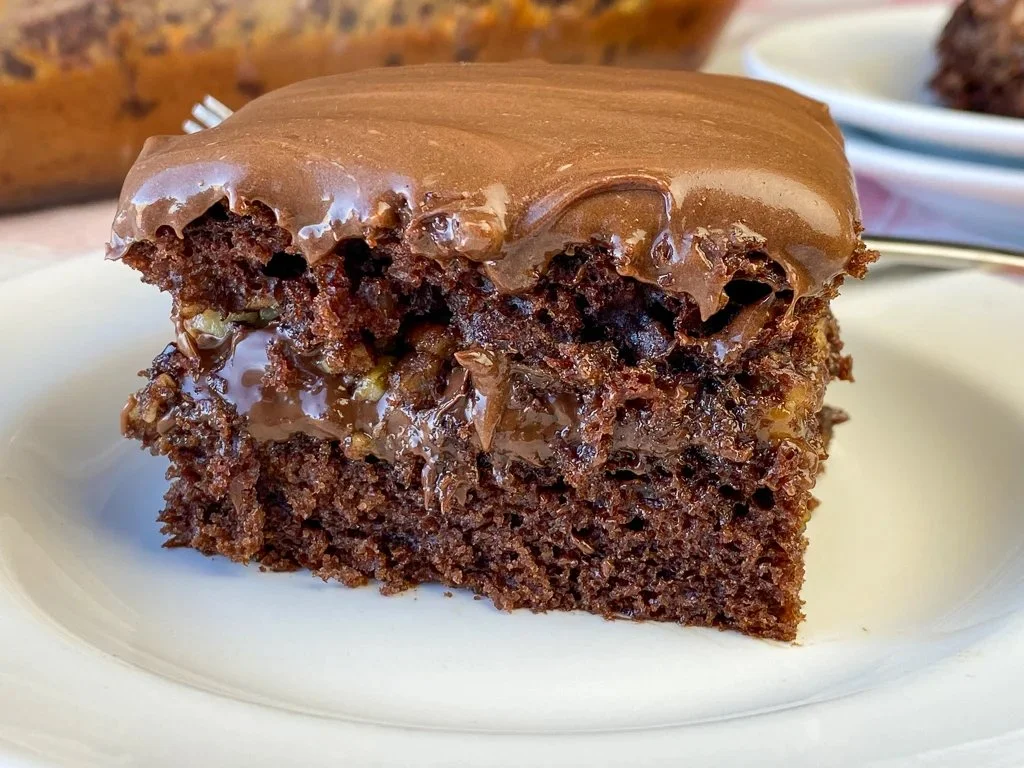 Delicious easy turtle cake with chocolate, caramel, and pecans